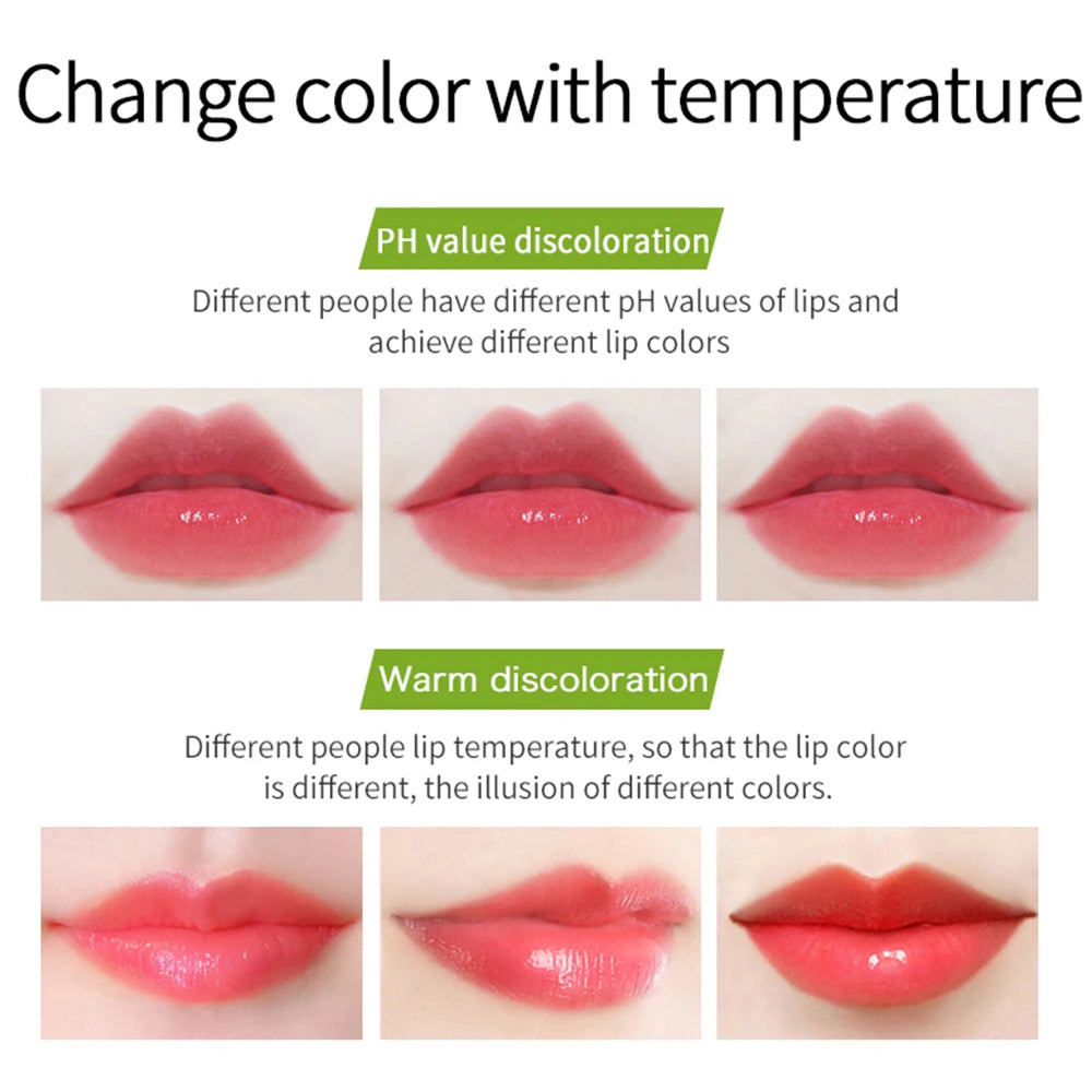 VIBELY New 5 Color Color Mood Changing Lip Balm Natural Aloe Vera Lipstick Long Lasting Moisturizing Makeup Cosmetics for Women