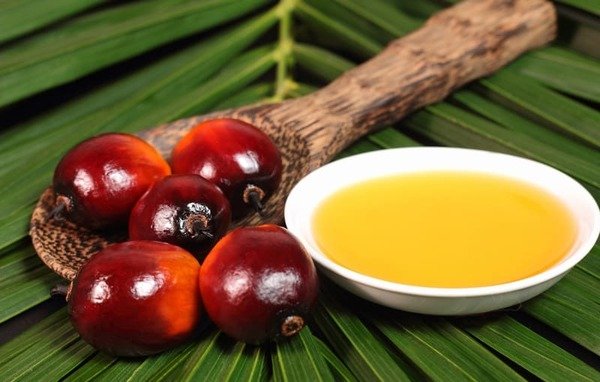 Russia explores Nigerian palm oil imports as demand growth creates export opportunity