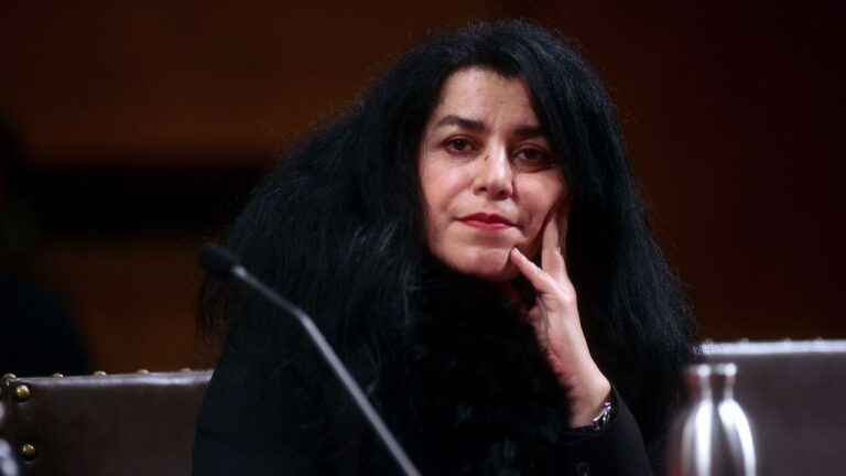 What Marjane Satrapi Made | Vogue