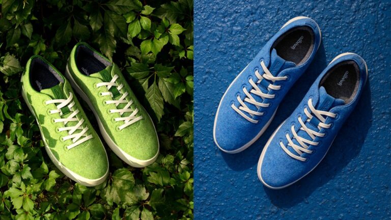 Allbirds Rebrands as Smartbird, Completes IP Sale to American Exchange