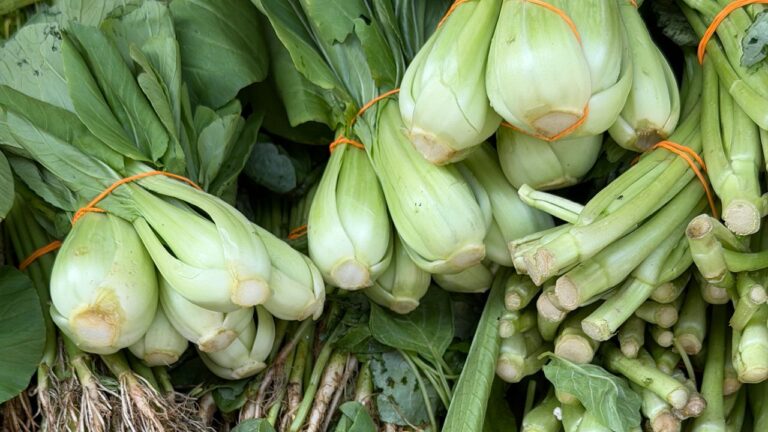 Is Fiber Actually the “Natural” GLP-1 Booster People Think It Is?