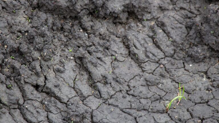 Ponda-led Consortium Secures Funding For Wetland Restoration Project
