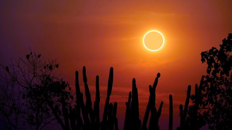 What the Total Solar Eclipse in Leo Means for Every Star Sign